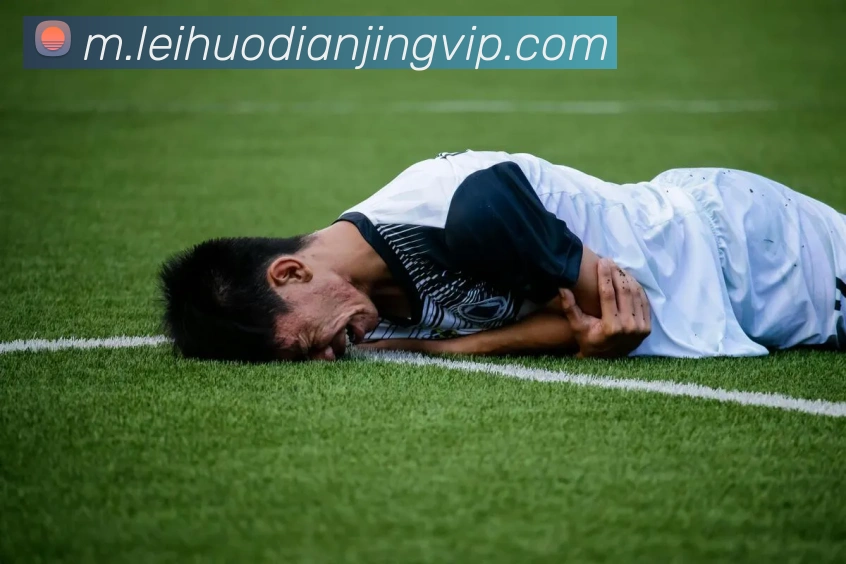 雷火电竞平台生态图